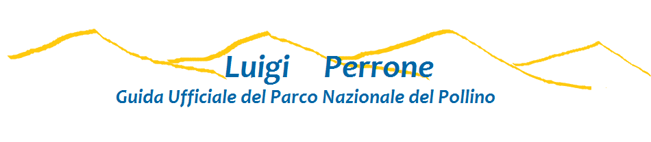 Guida Ufficiale del Pollino Perrone Luigi - Torna - Torna Home Page